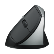 Rapoo EV250 Ergonomic Wireless Mouse
